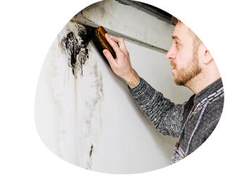 Mold Removal in Oklahoma Keep It Dry