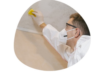 Mold Removal Services in Oklahoma