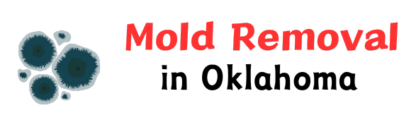 Top Mold Removal Services in Oklahoma